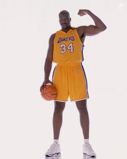 在与强敌辽 在与强敌辽